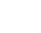 CYBEX